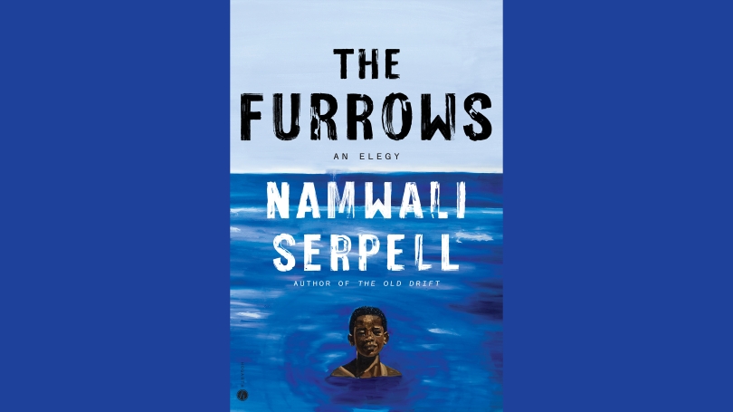 Book cover for The Furrows by Namwali Serpell